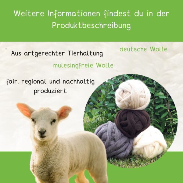 Schaf Wolle