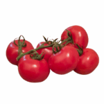 Tomaten
