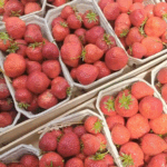 Erdbeeren