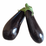 Aubergine